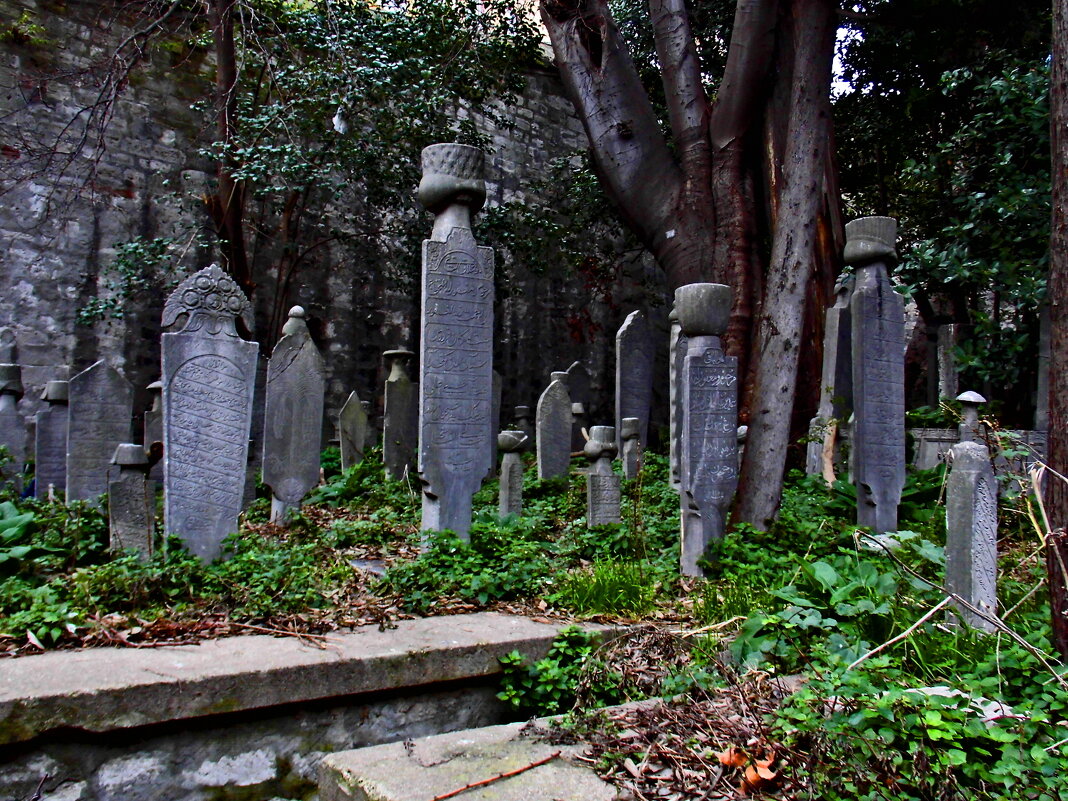 Стамбул - 44 - Артём Кузнецов