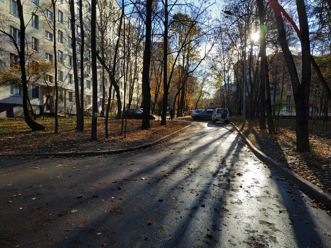 Редкое солнце ноября - Андрей Лукьянов