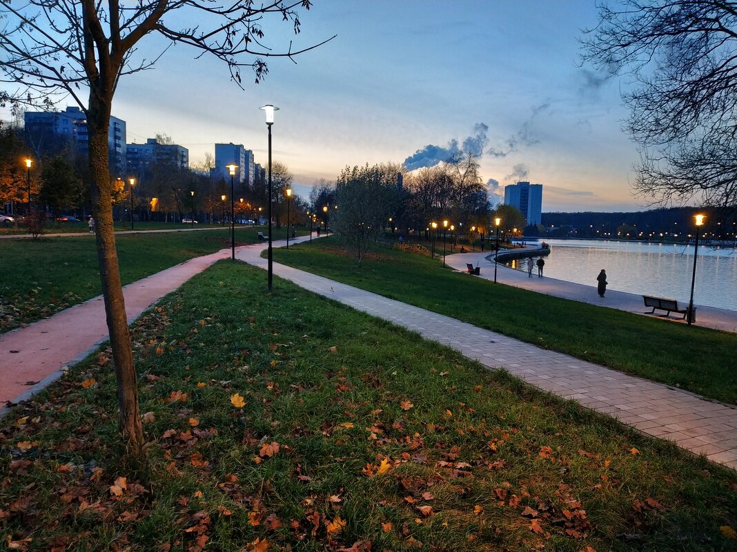 Ноябрьский вечер на пруду - Андрей Лукьянов