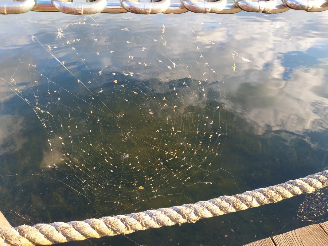 Тема с вариацией - Андрей Лукьянов