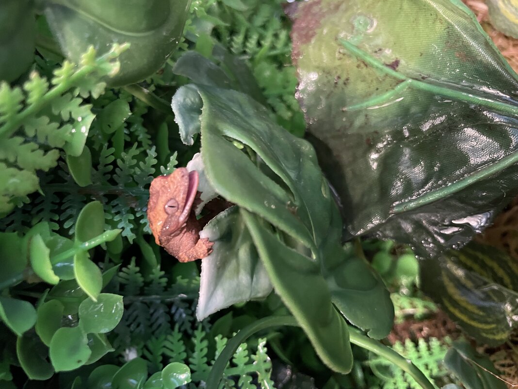 Малой - Ален Янн Малой - Ален Янн