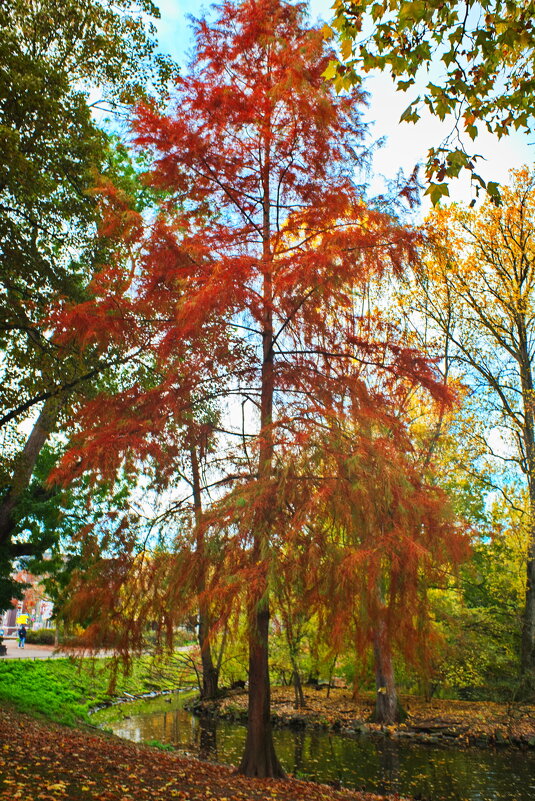 *** - Witalij Löwin