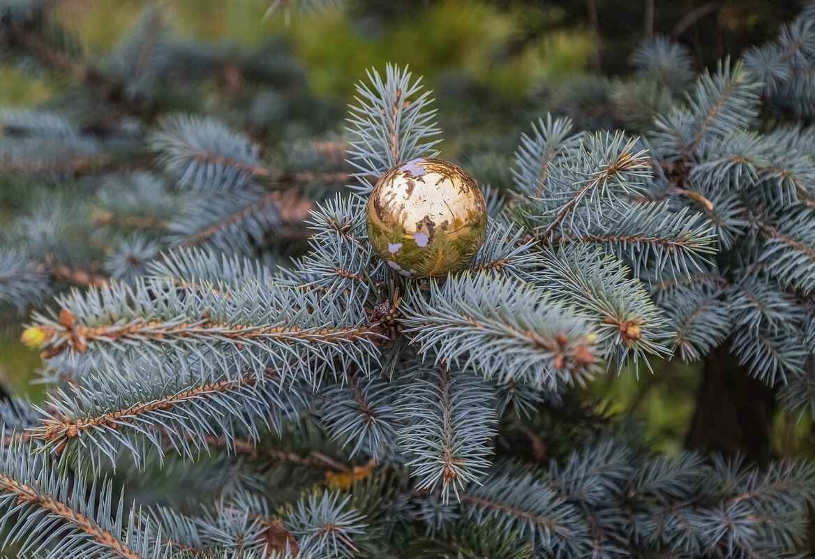 54 дня до Нового года - Валерий Иванович