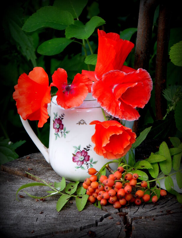 АЛЫЕ МАКИ. - nadyasilyuk Вознюк