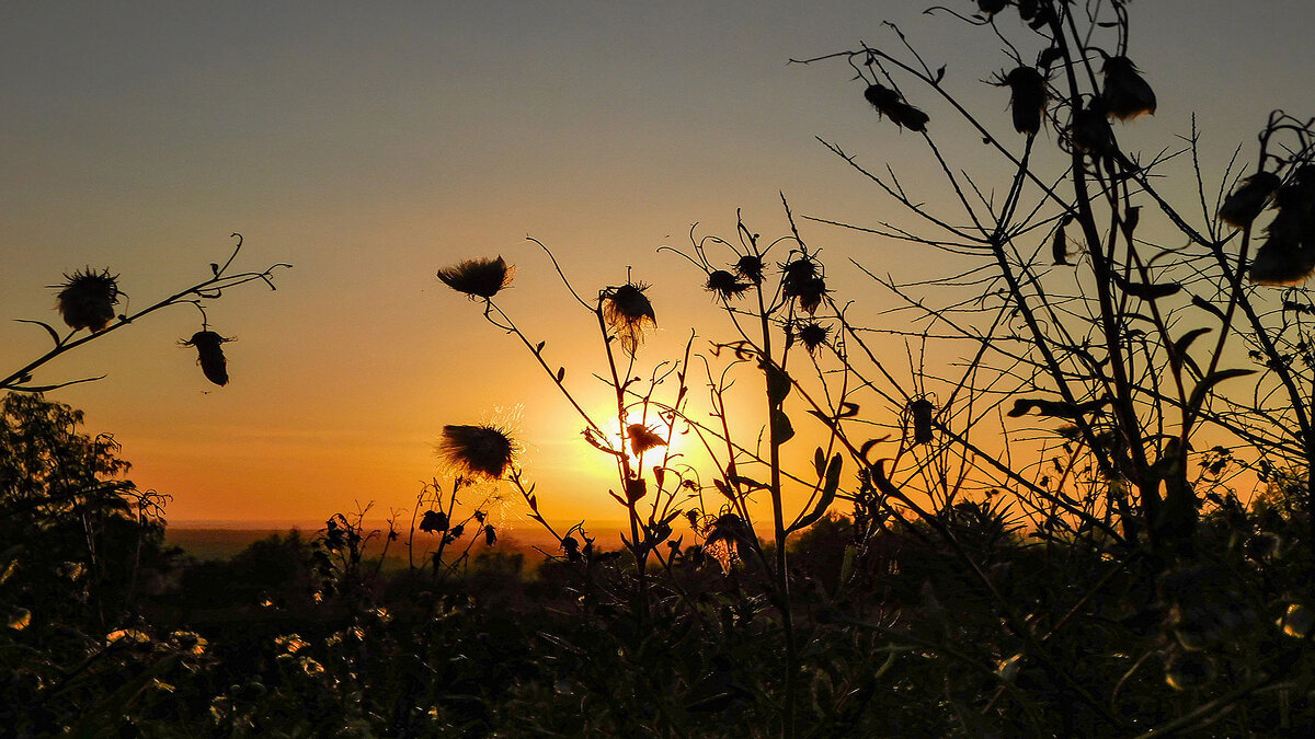 Солнышко уходит на отдых - Владимир Кириченко