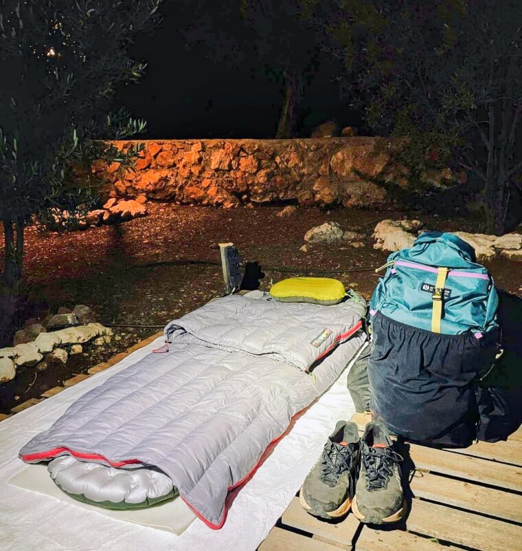 Хорошо устроились на ночь... - Георгиевич 