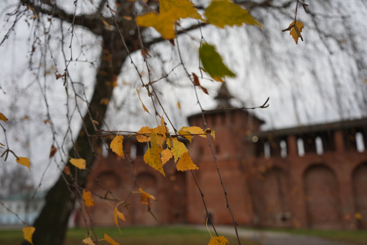 Ноябрь на фоне Коломенского кремля - Lersa 