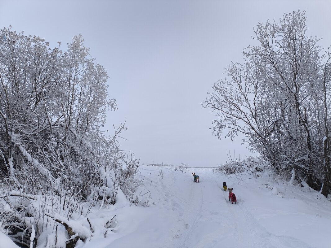 Зима - Anna Ivanova