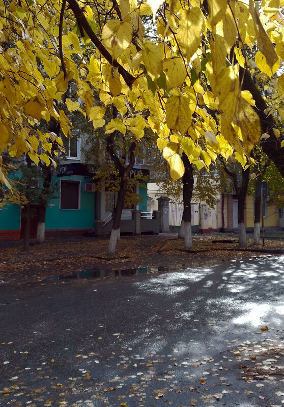 *** - Валентина Береснева