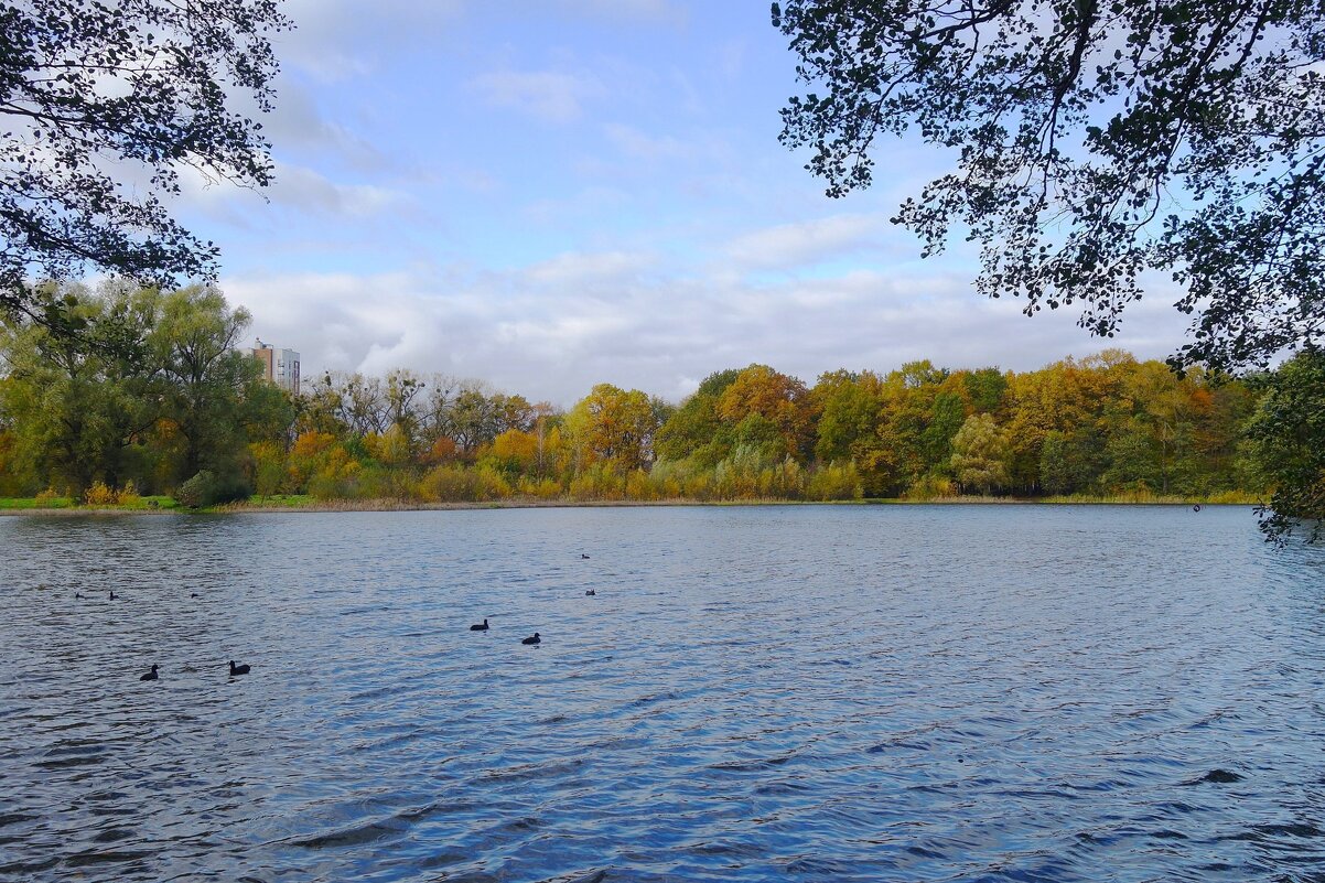 Озеро Лесное, Калининград - Рита Симонова