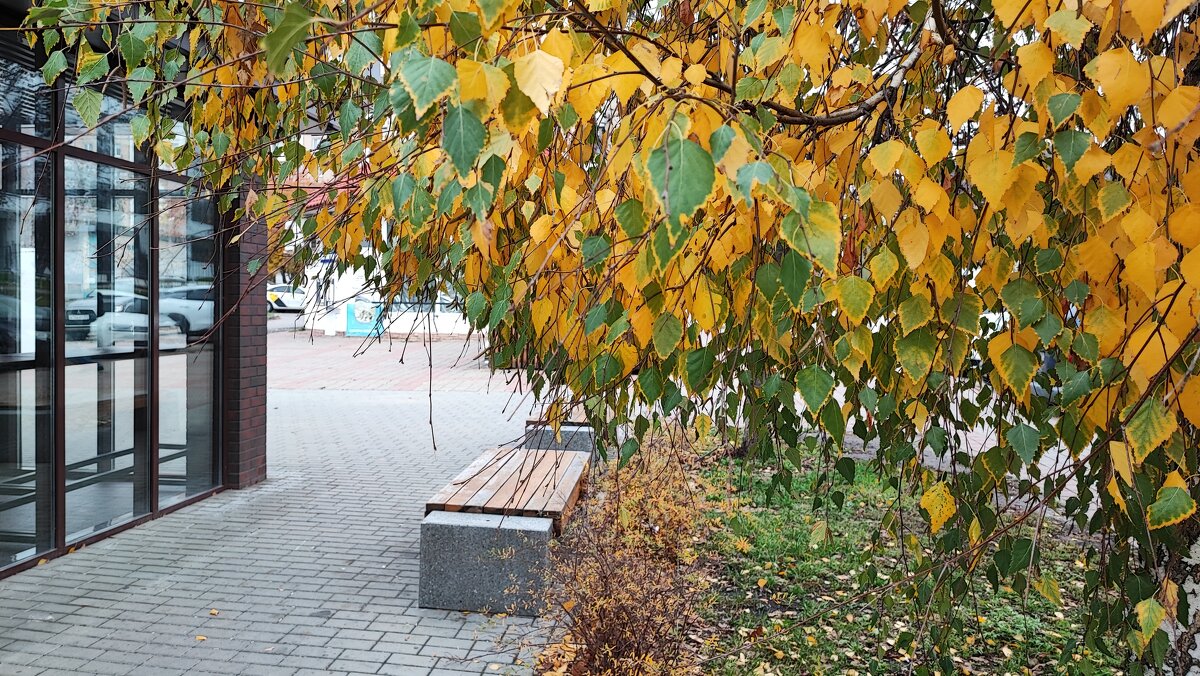 ,,, - Сергей Тимоновский