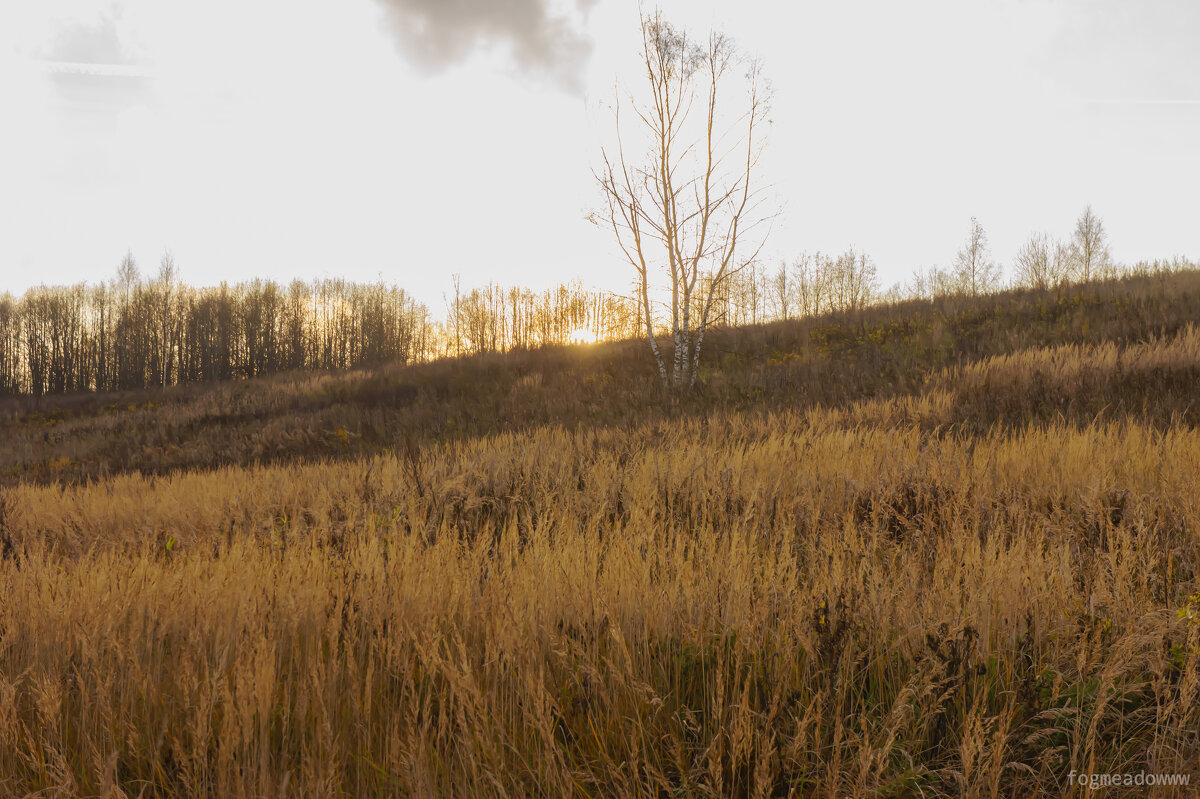 Закат - fogmeadowww m