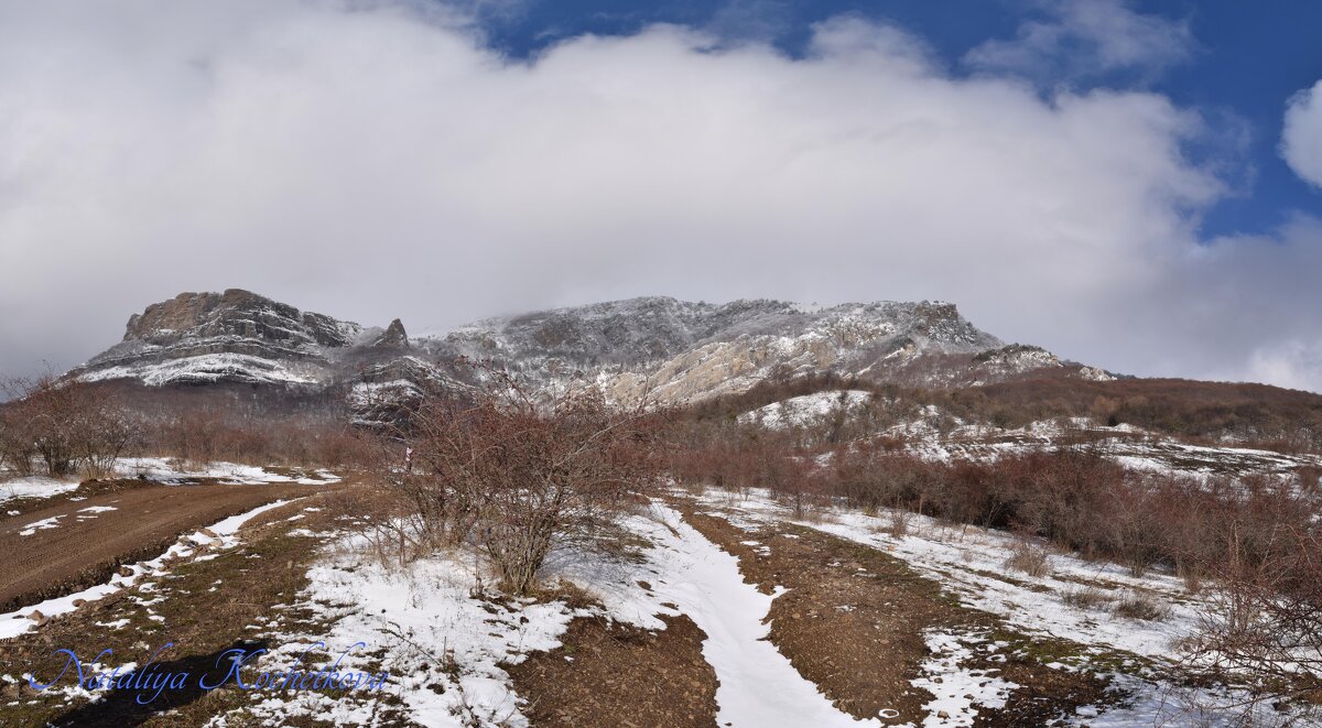 Природа Крыма - Amazing Cosmea