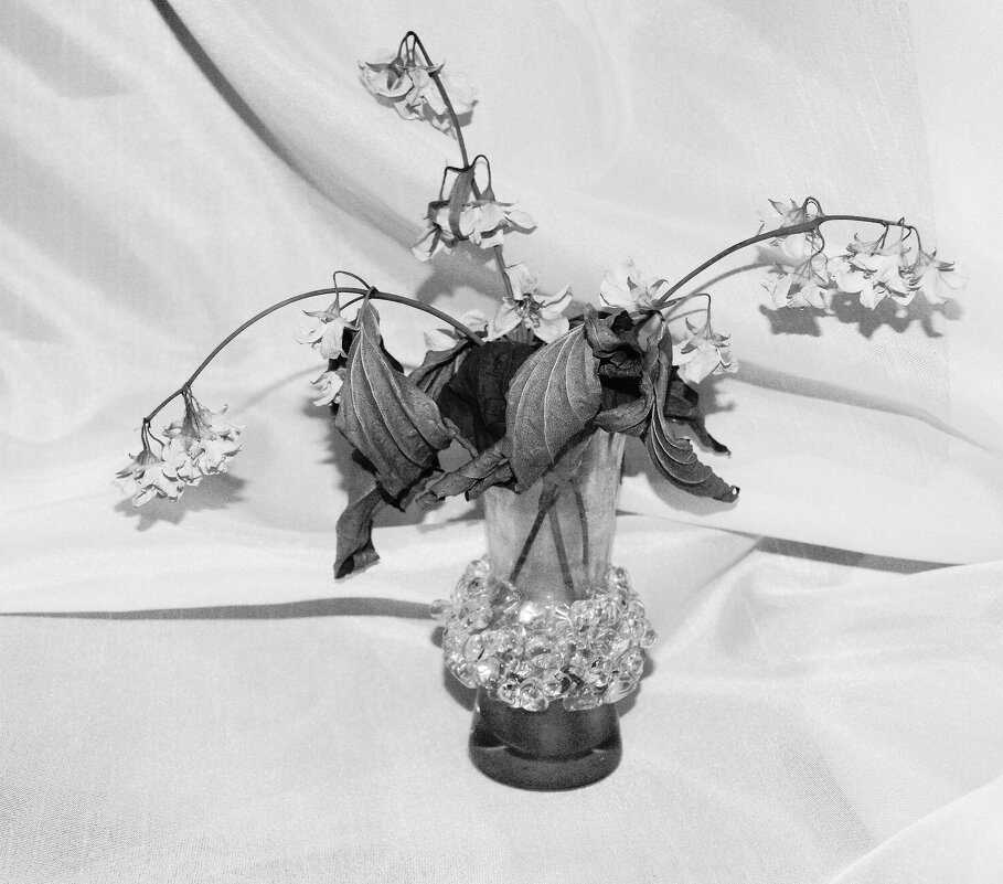 /// - Виктор Никитенко