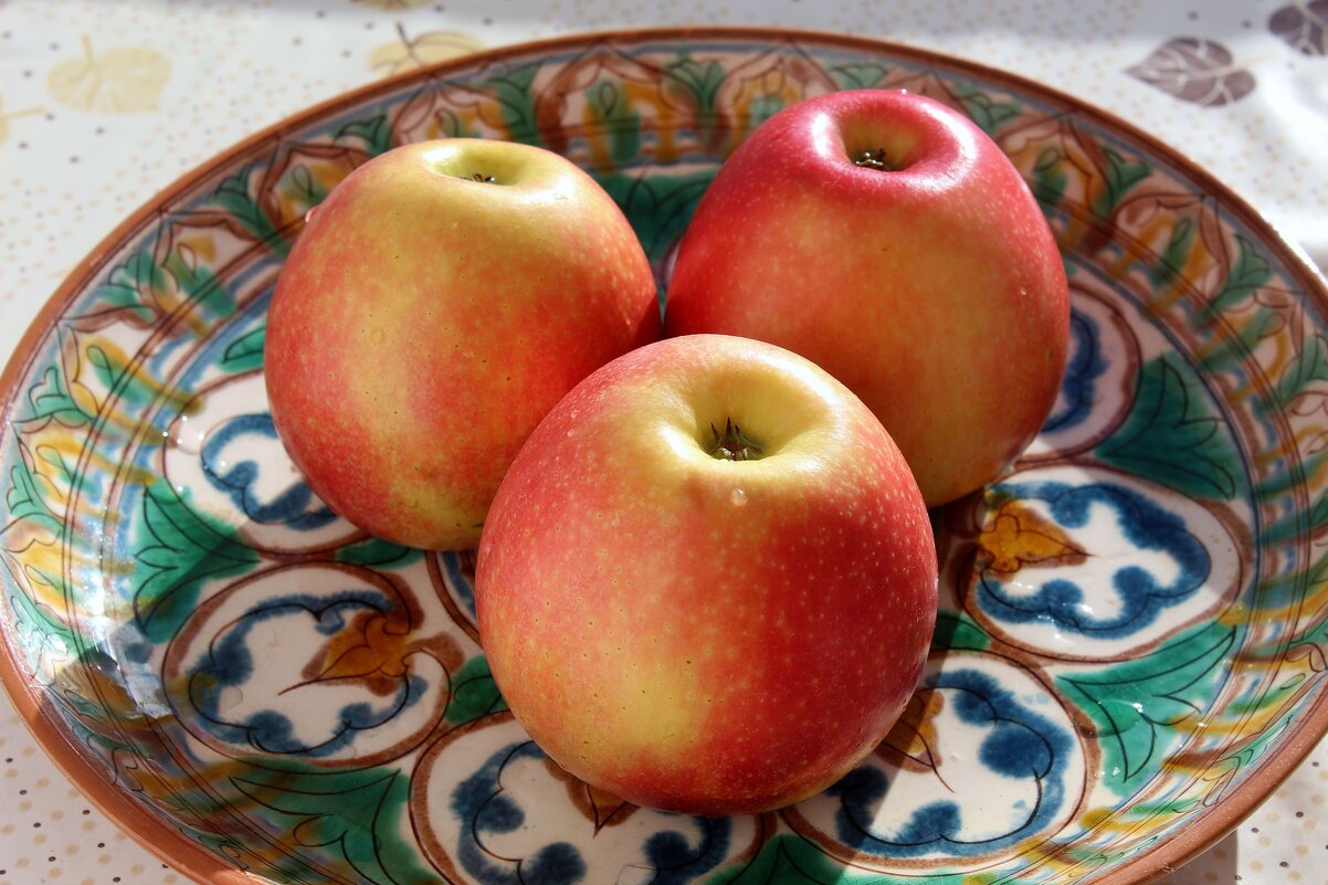 Яблоки - Владимир Помазан
