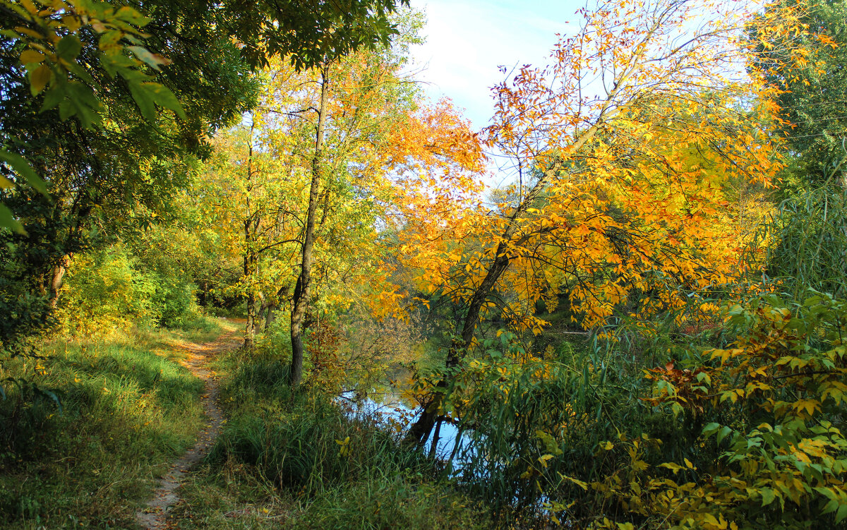 Осень. - Александр 
