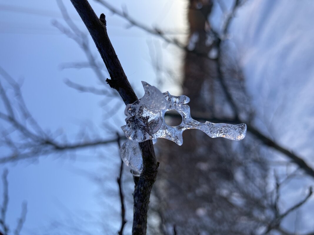 Ледяной ключик - Ольга Савельева 