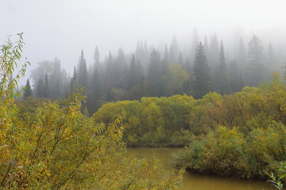 Утро туманное, утро седое - Нина северянка