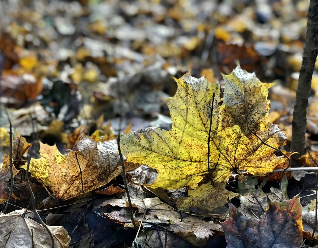 На исходе дня… - Любовь На исходе дня… - Любовь