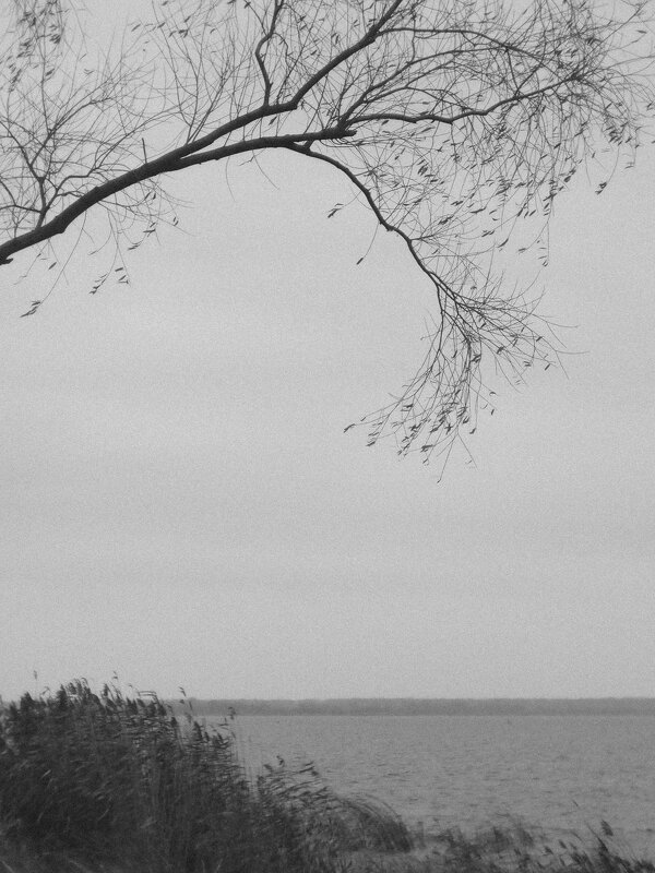 *** - Анна Малышева