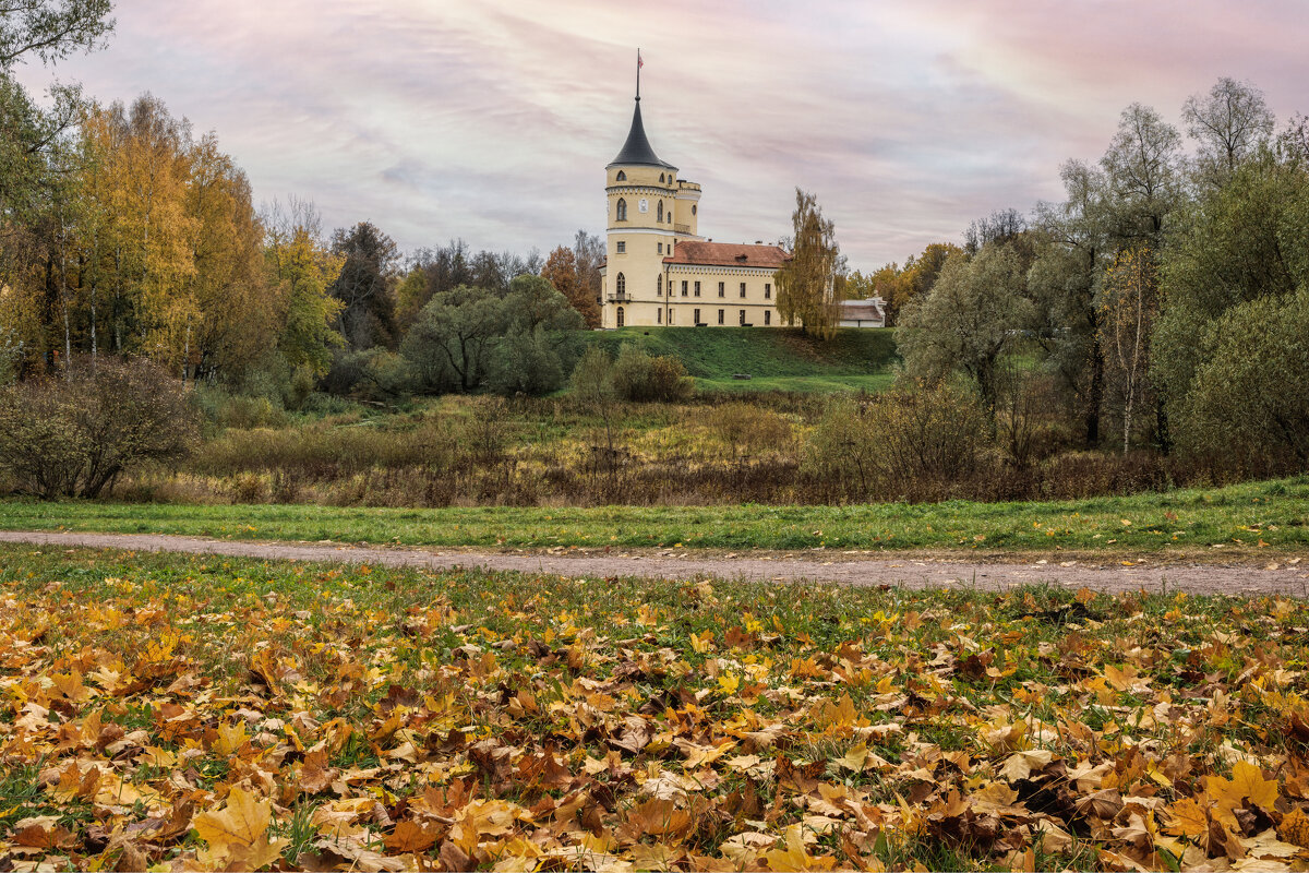 Павловск - Владимир Колесников