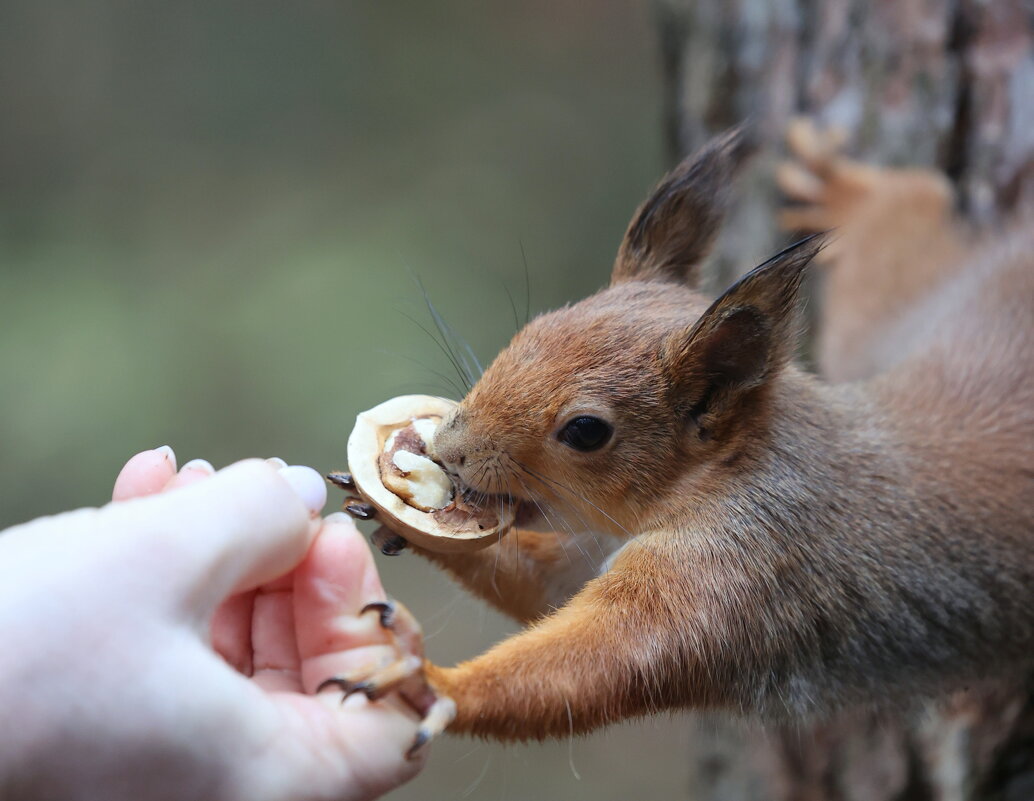 Подержи меня я поем... - Александр Кондаков
