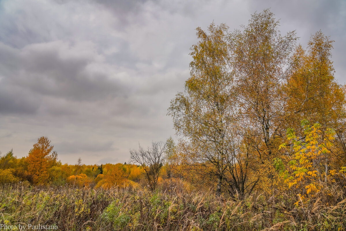 Под небом октября... - Владимир Жданов