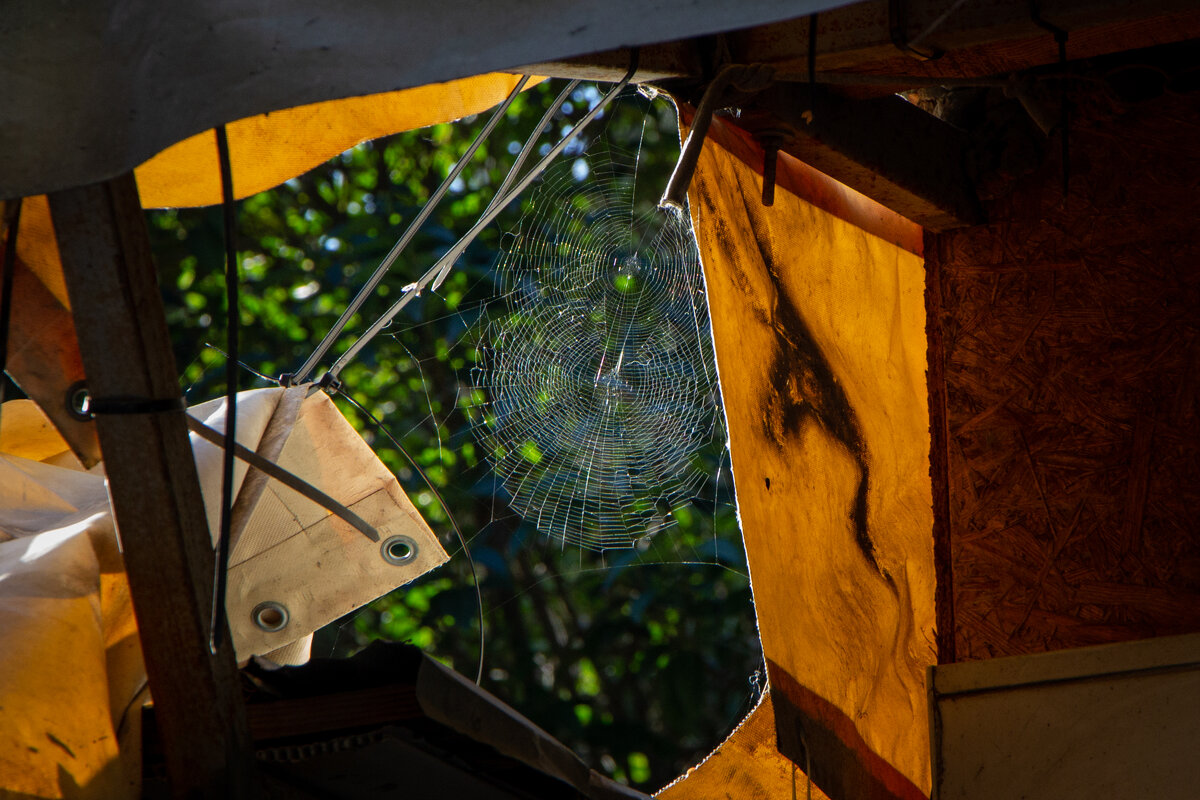 Сети. - Дмитрий А