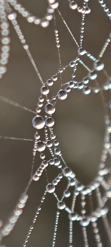 ожерелье - Наталия 