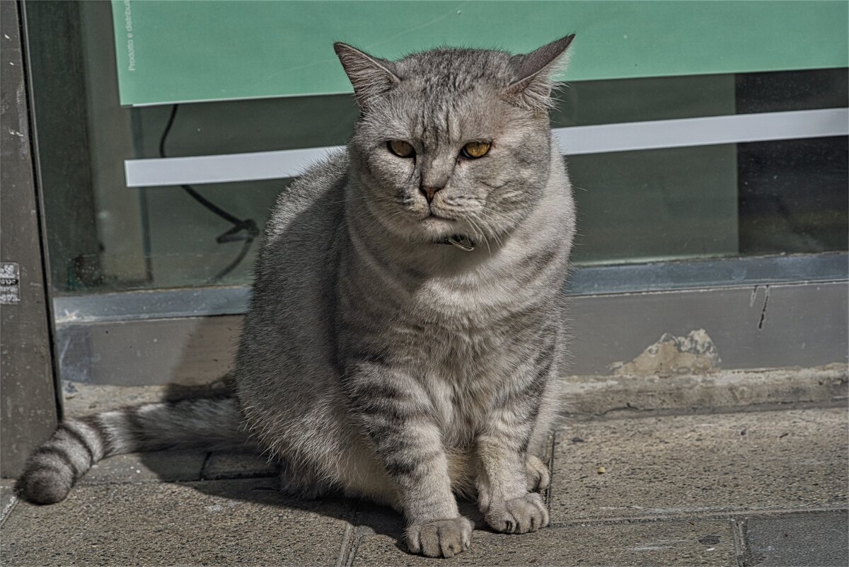 Хайфа 2025г - ujgcvbif 