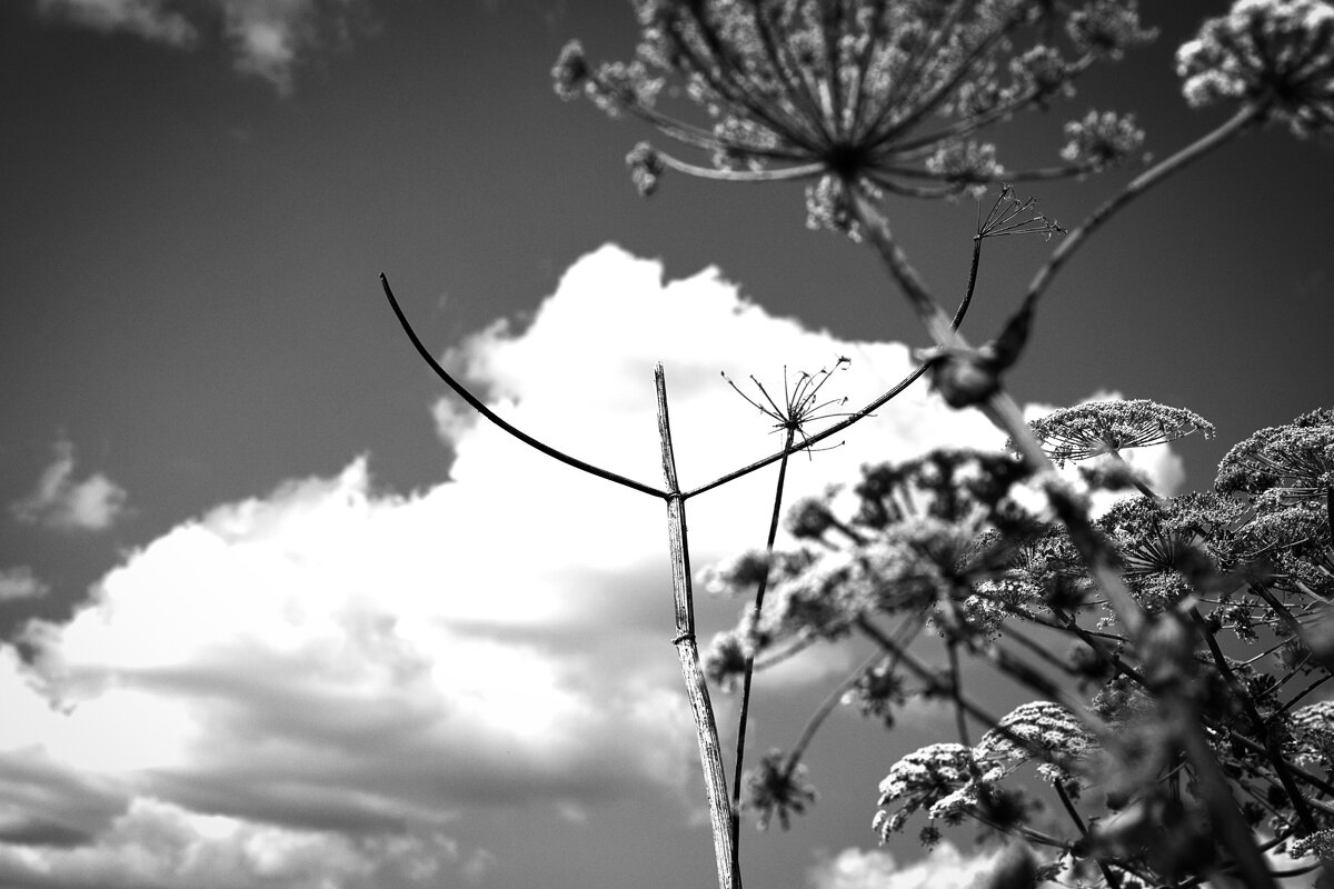 Фотография - Денис Безногов