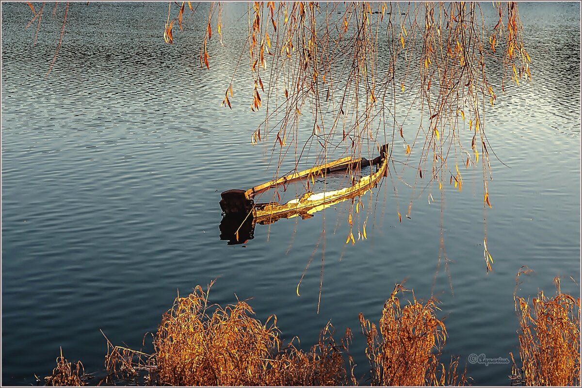 "Сгнили борта, и нет парусов на реях. И никогда полный не дать вперед. " - Aquarius - Сергей "Сгнили борта, и нет парусов на реях. И никогда полный не дать вперед. " - Aquarius - Сергей