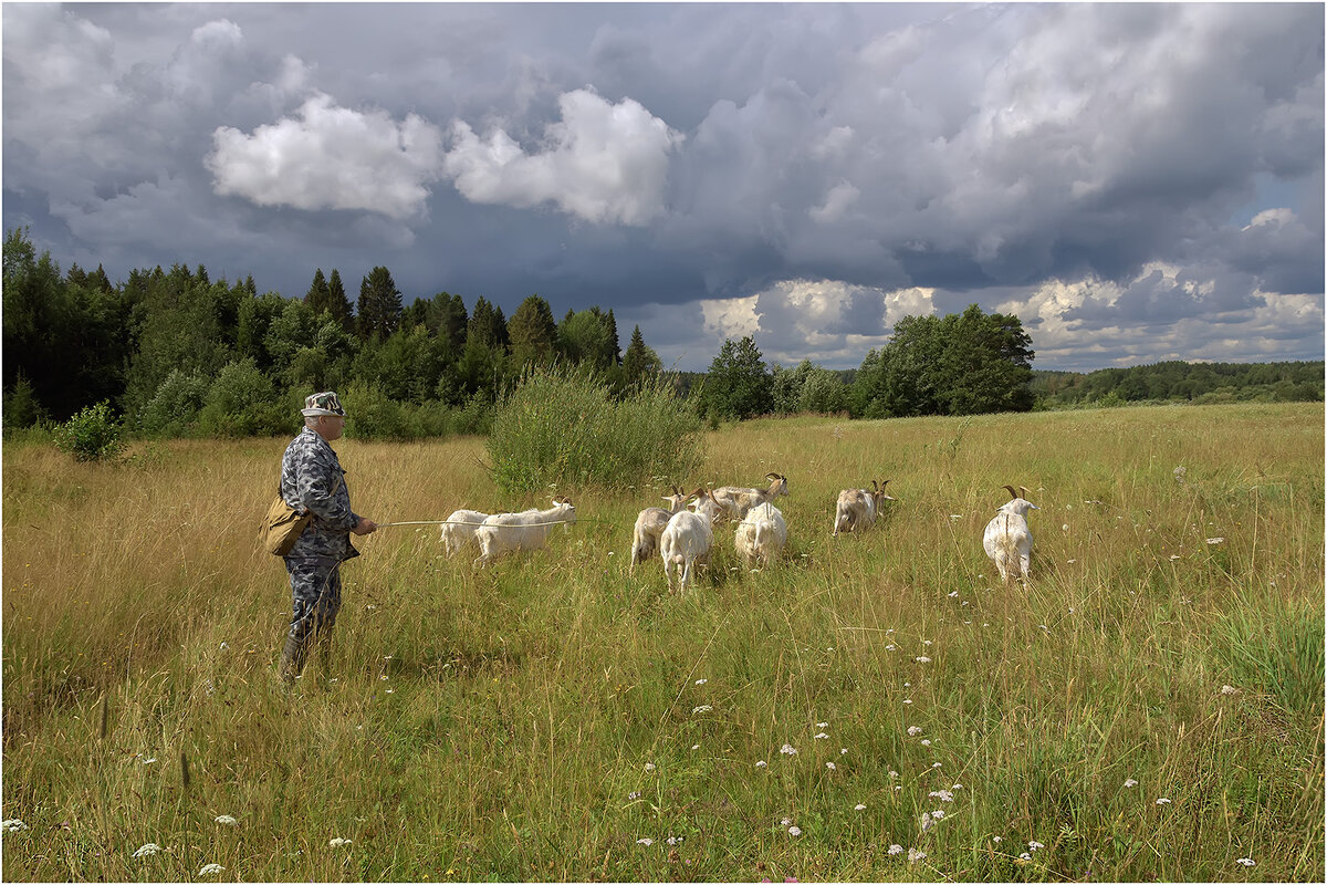 Деревенский мотив - Валентин Котляров