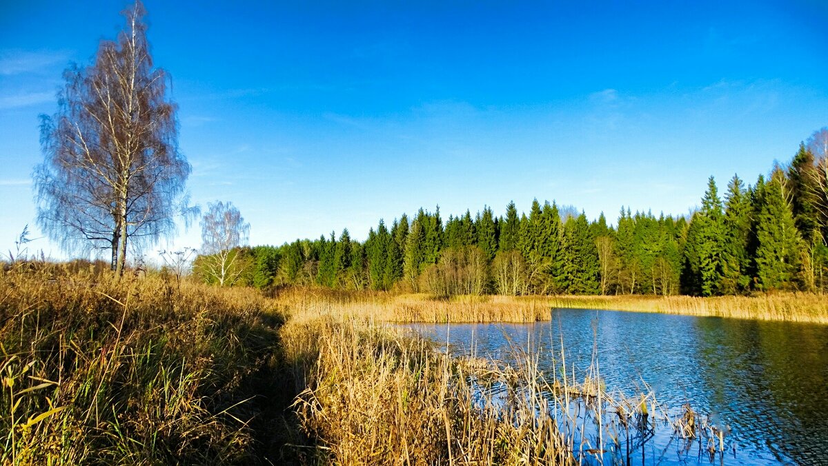 Смоленская область в начале ноября. - Милешкин Владимир Алексеевич Смоленская область в начале ноября. - Милешкин Владимир Алексеевич