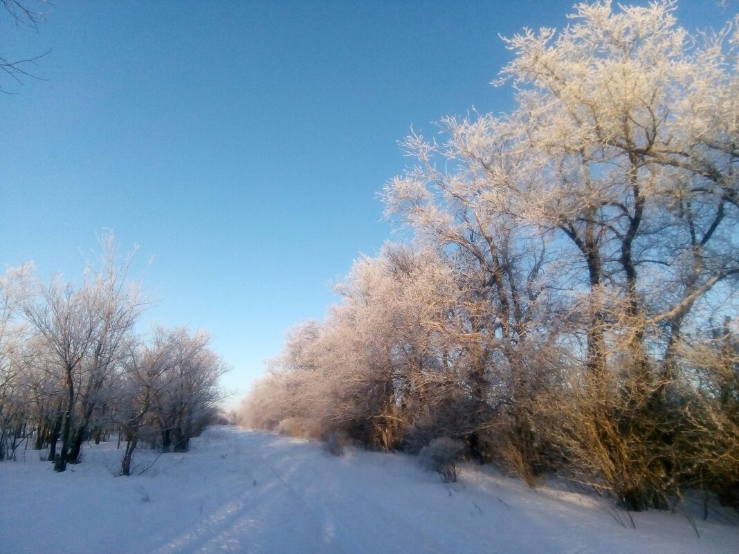Зимняя дорога - Андрей Хлопонин Зимняя дорога - Андрей Хлопонин