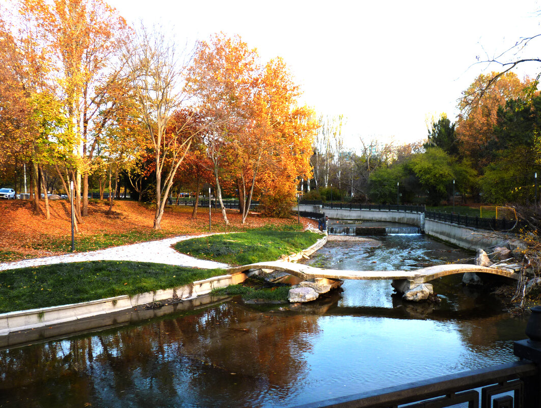 Осень золотая - Валентин Семчишин