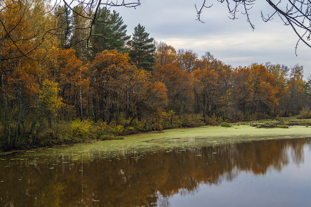 Осень у лесного озера - Сергей Цветков Осень у лесного озера - Сергей Цветков