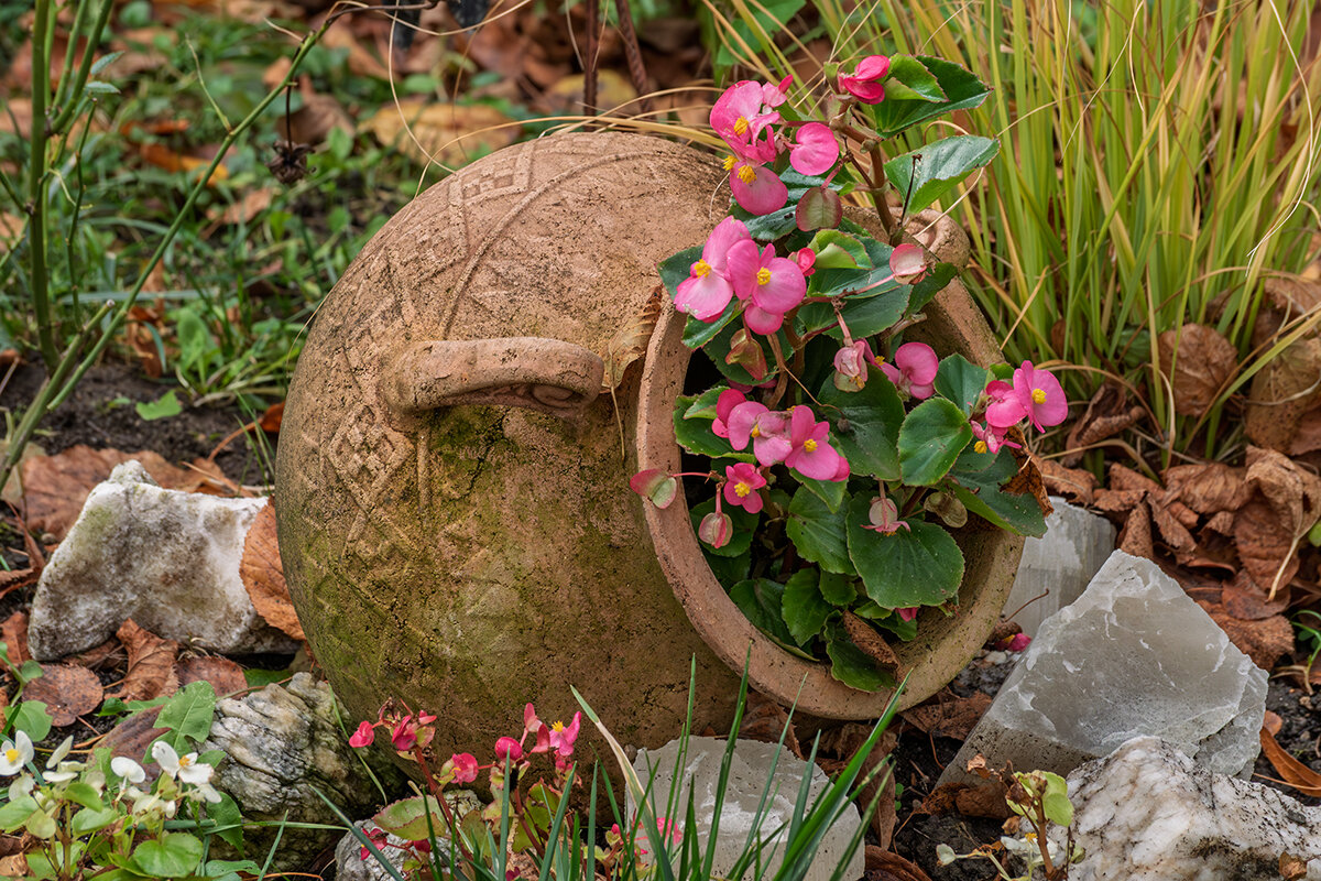 18 октября 2025 Горшок на клумбе - Игорь Сикорский 18 октября 2025 Горшок на клумбе - Игорь Сикорский