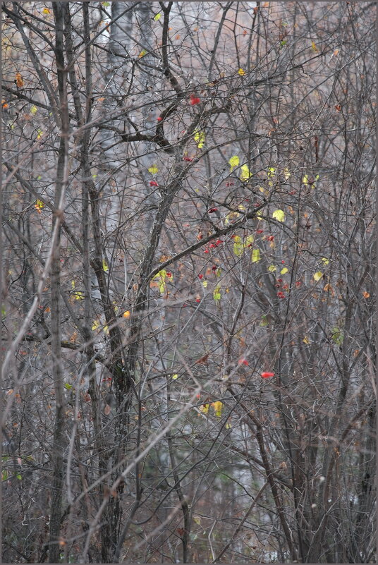 Листочки - Алексей Хвастунов