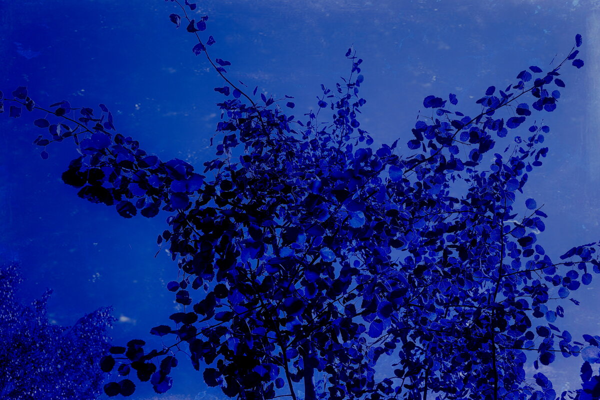 Фотография - Денис Безногов