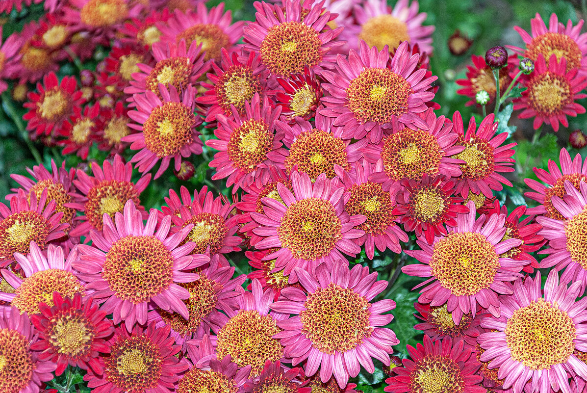 Любование! - Варвара 