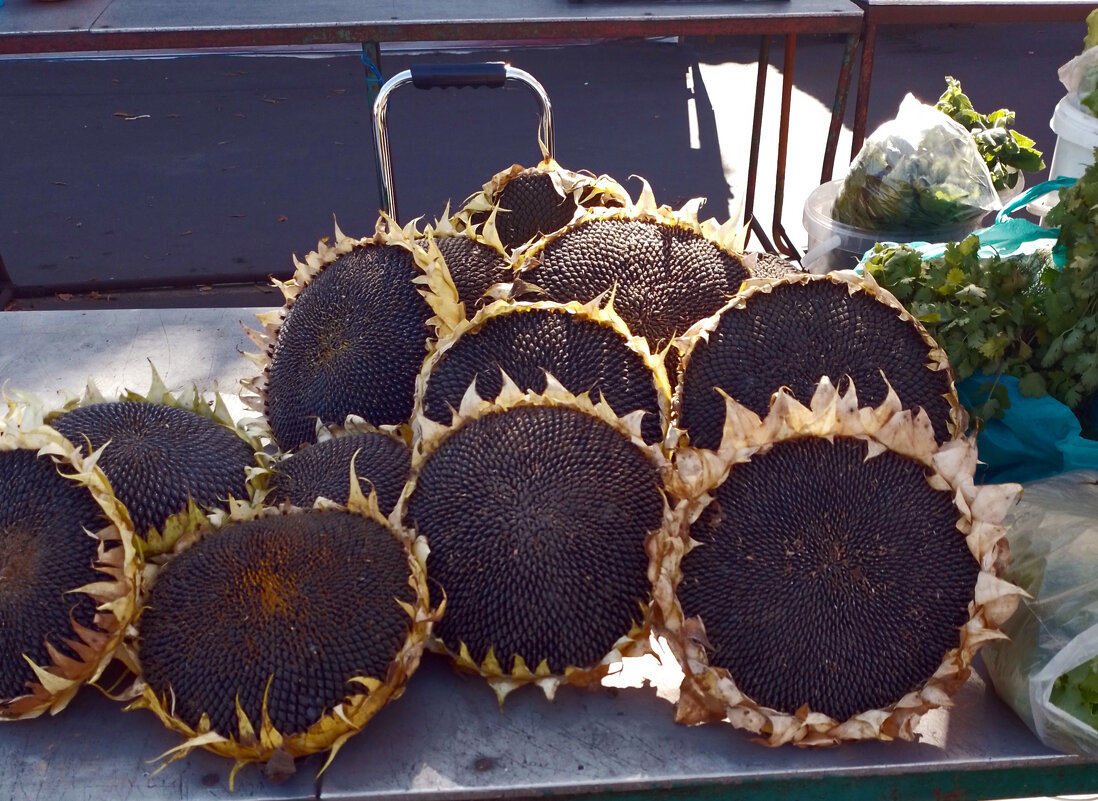 *** - Валентина Береснева