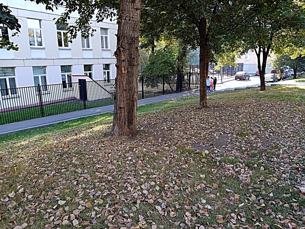 Осень в Москве. - Владимир Драгунский