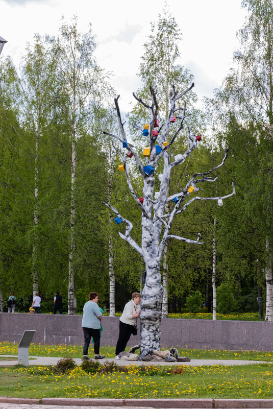 дерево желаний - navalon M