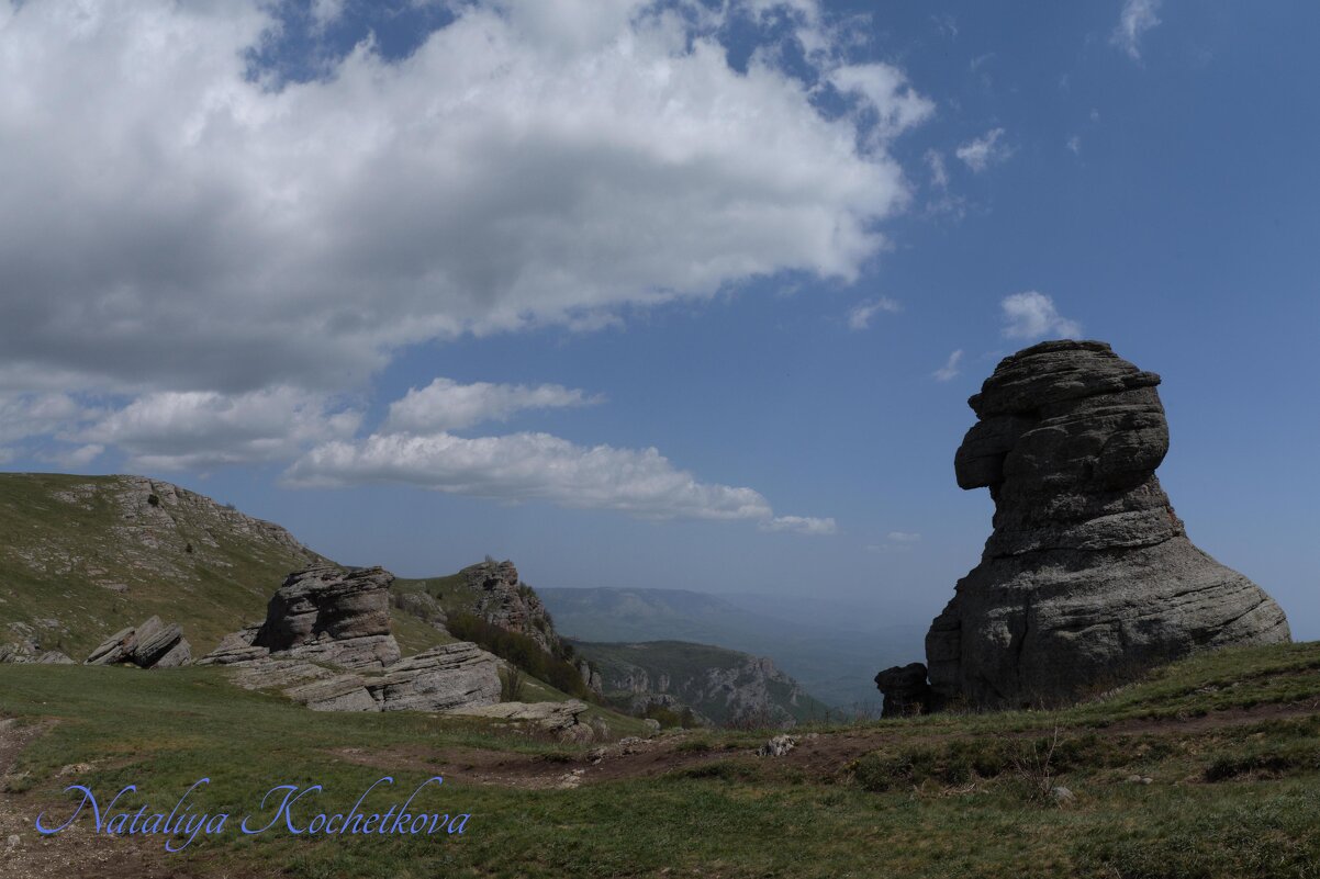 Природа Крыма - Amazing Cosmea