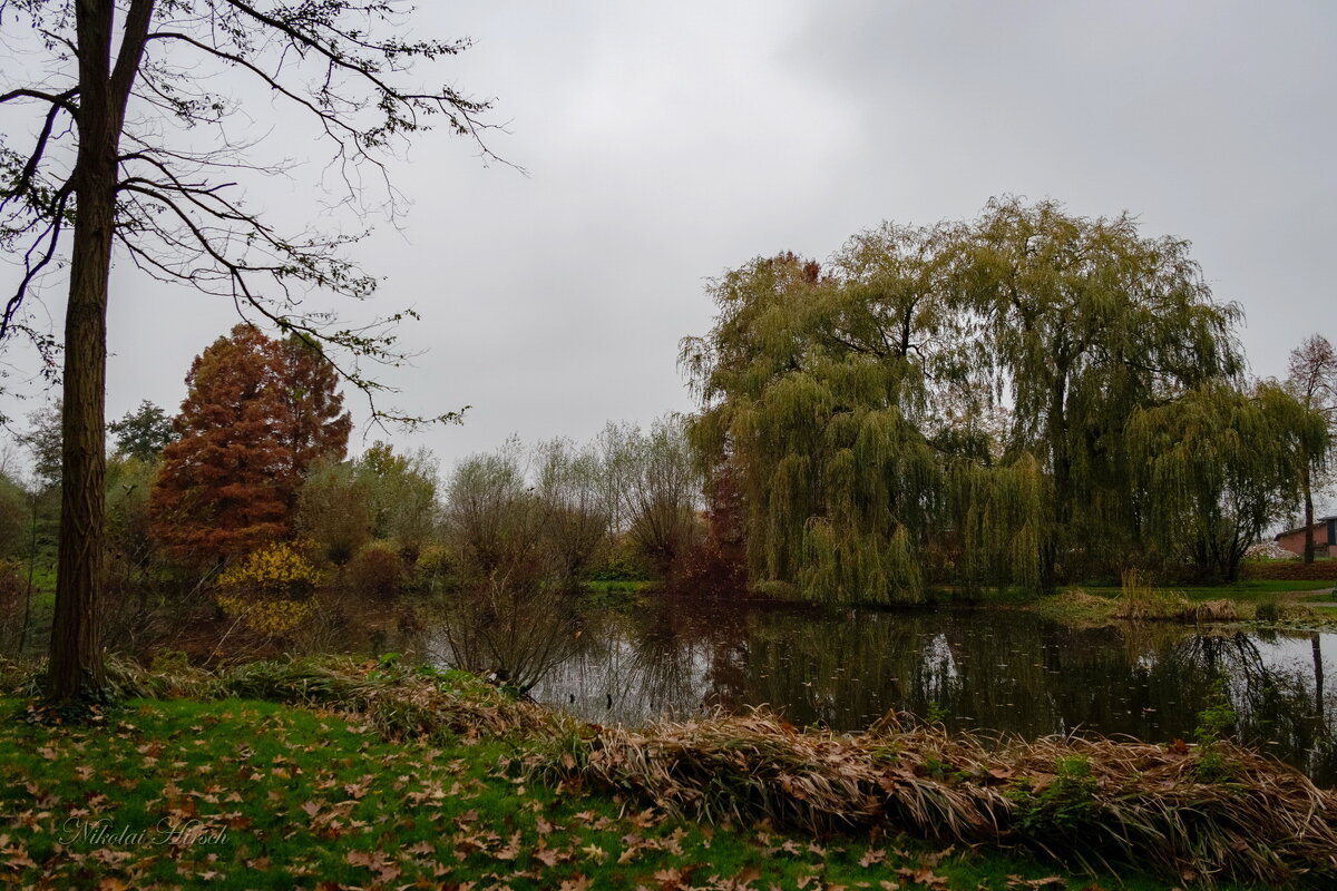 Вокруг пруда... - Николай Гирш