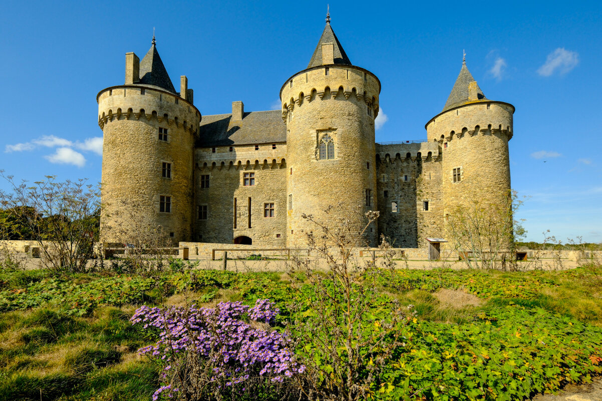 Замок Сюсиньо 13-ый век - Георгий А Замок Сюсиньо 13-ый век - Георгий А