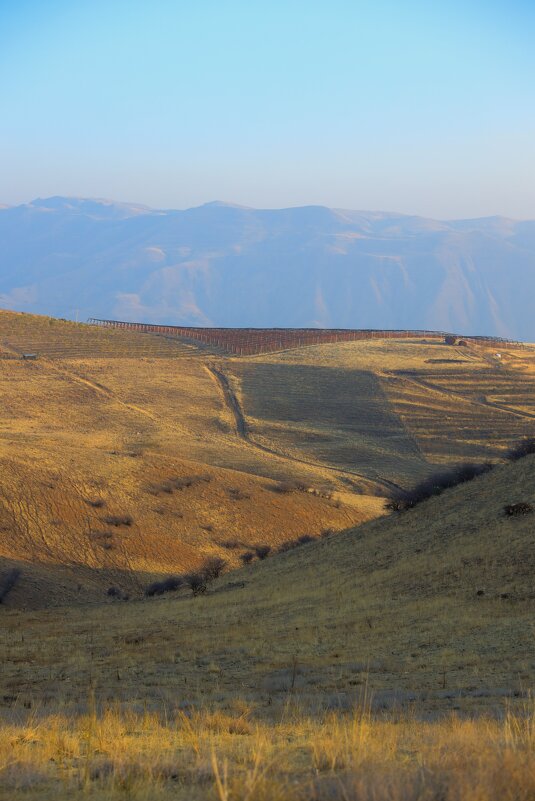 Пейзаж - Movses Shahinyan