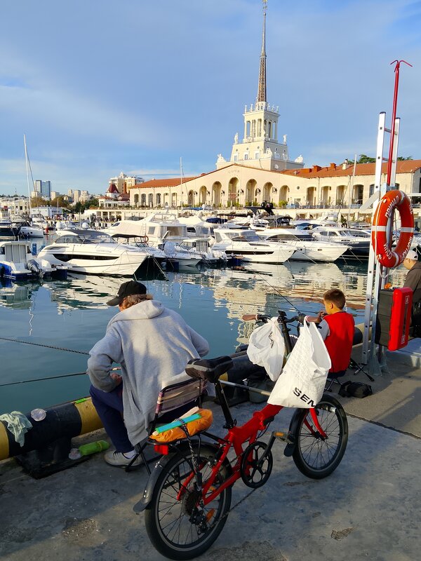 ПОРТ СОЧИ - Tata Wolf