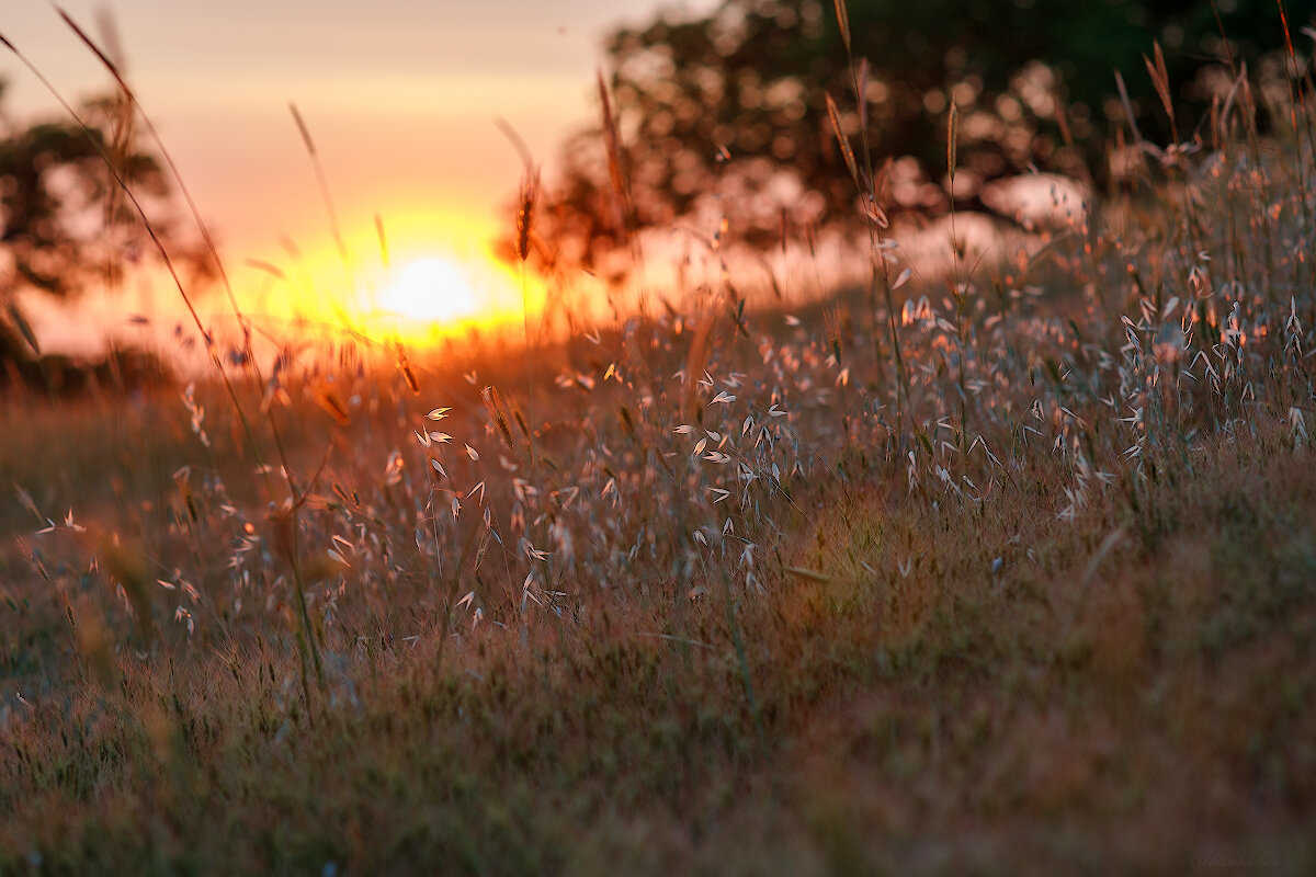 *** - Иваннович *